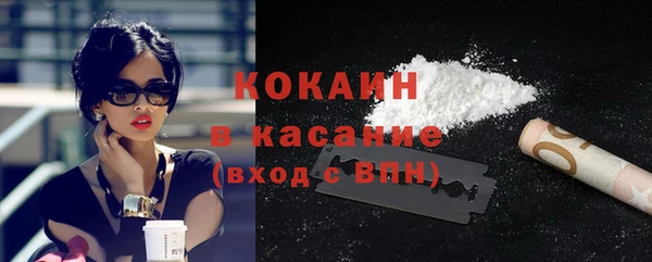 шишки Куйбышев